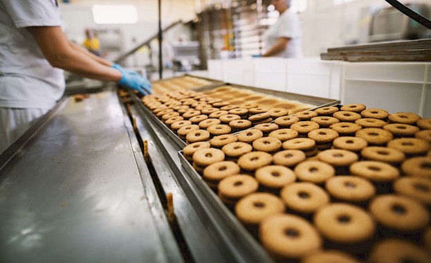 Food processing conveyor